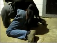 Dog xxx banging her owner